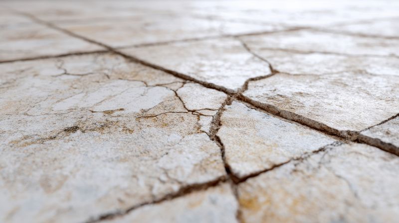 Cracked Tile Repair